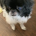 Aya_CA_Jan19