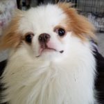 Cody_IL_Mar19