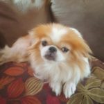 Daisy_IL_Sep19