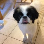 Gus_CT_Sep13