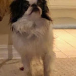 Izzie_OK_Feb19