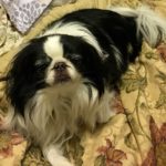 Minnipin_AZ_Oct19