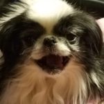 Molly_MO_May19