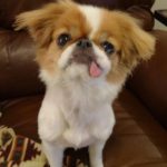 Nibbles_AZ_Dec14