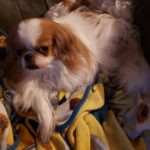 RockyandFoxy_NJ_Aug19
