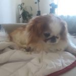 Ruby_WA_May19
