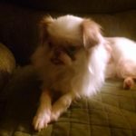 Teddy_PA_Oct15