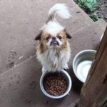 Trixie_TX_Jun19