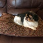 Xena_TX_Sep19